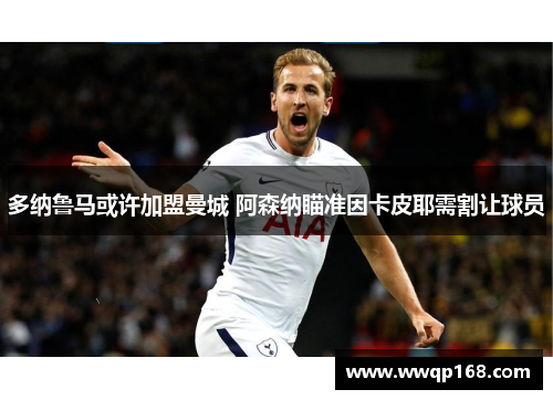 多纳鲁马或许加盟曼城 阿森纳瞄准因卡皮耶需割让球员